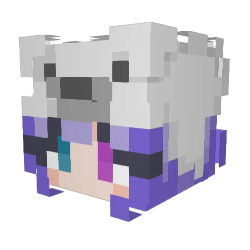 Astor9974 Minecraft avatar head, 3D render
