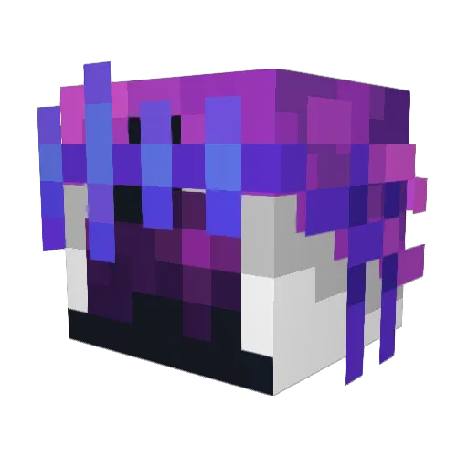 Astra29 Minecraft avatar head, 3D render