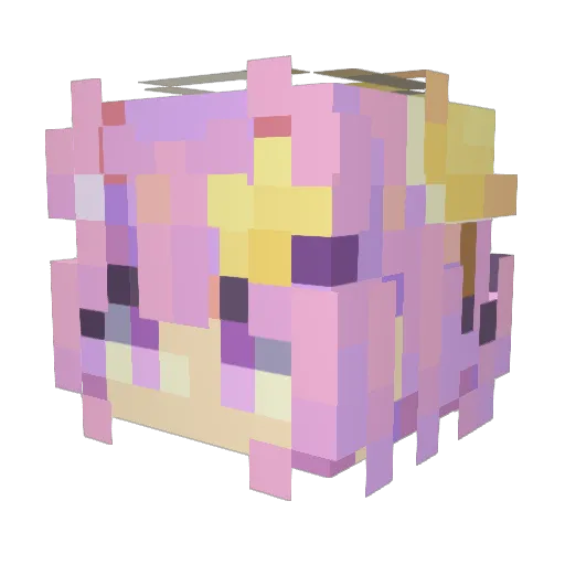 AstraDuster Minecraft avatar head, 3D render