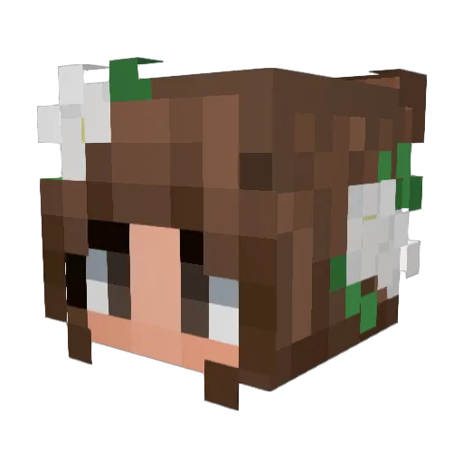 AstraLuna69 Minecraft avatar head, 3D render