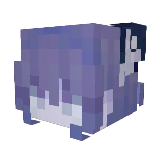 AstraM_ Minecraft avatar head, 3D render