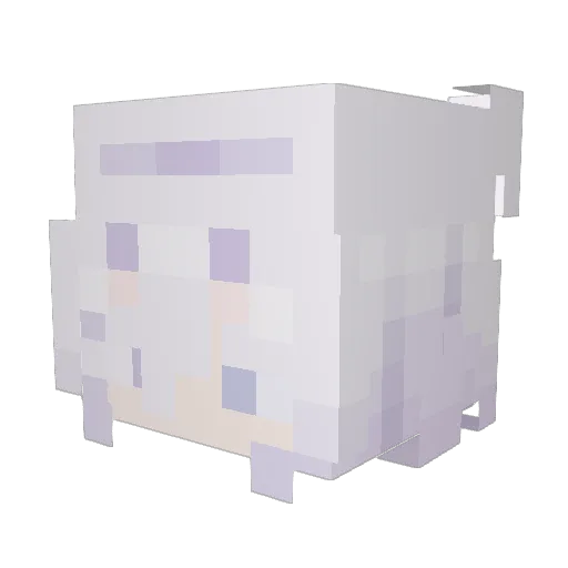 AstraMemor Minecraft avatar head, 3D render
