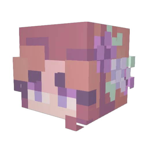 Astra_Neo Minecraft avatar head, 3D render