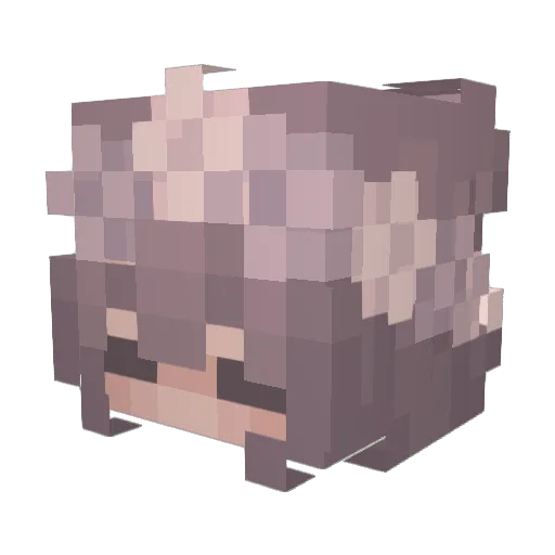 Astradia Minecraft avatar head, 3D render