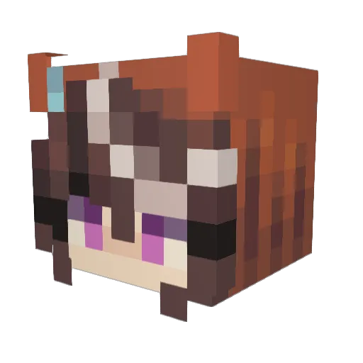 Astraelis02 Minecraft avatar head, 3D render