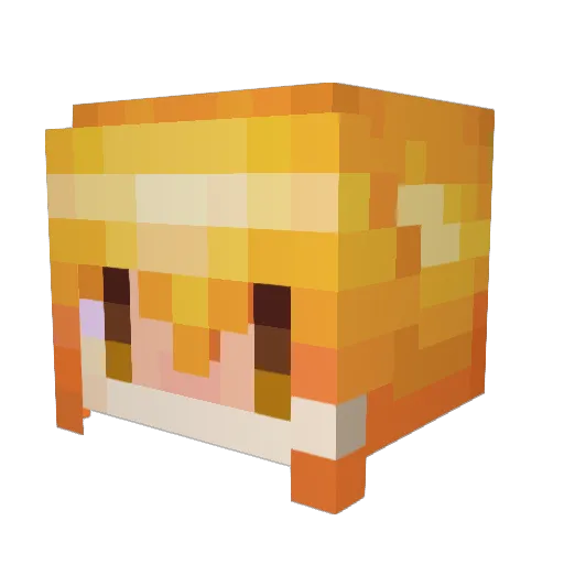 Astragalus2200 Minecraft avatar head, 3D render