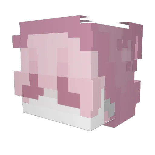 Astrai23 Minecraft avatar head, 3D render