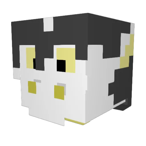 Astrail_Ysdragil Minecraft avatar head, 3D render