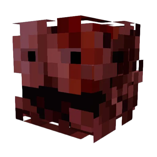 Astral302 Minecraft avatar head, 3D render