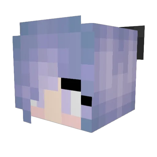 AstralCanine Minecraft avatar head, 3D render
