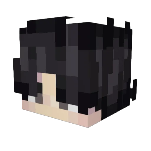 AstralCoin Minecraft avatar head, 3D render