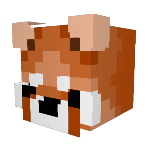 AstralCookiez01 Minecraft avatar head, 3D render