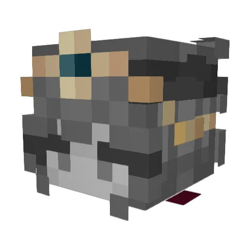 AstralDivine183 Minecraft avatar head, 3D render