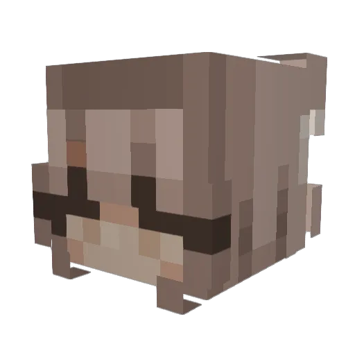 AstralMX2 Minecraft avatar head, 3D render