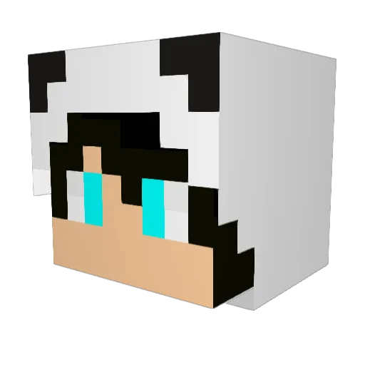 AstralMisty Minecraft avatar head, 3D render