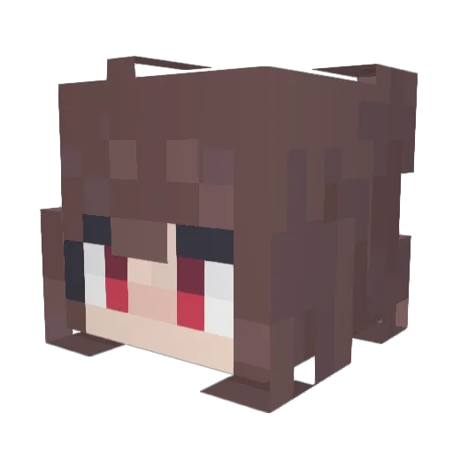 AstralPanda22 Minecraft avatar head, 3D render