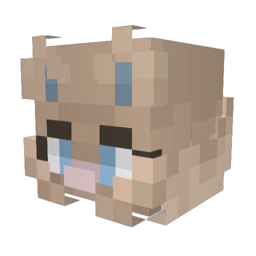 AstralSky_ Minecraft avatar head, 3D render
