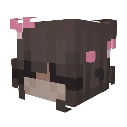 AstralTheWitch Minecraft avatar head, 3D render