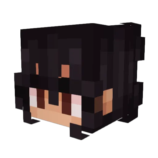 Astral_Arts8709 Minecraft avatar head, 3D render
