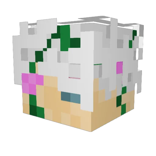 Astral_xp Minecraft avatar head, 3D render