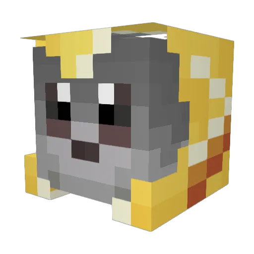 Astralflyer Minecraft avatar head, 3D render