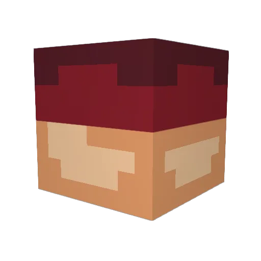 Astralgi Minecraft avatar head, 3D render