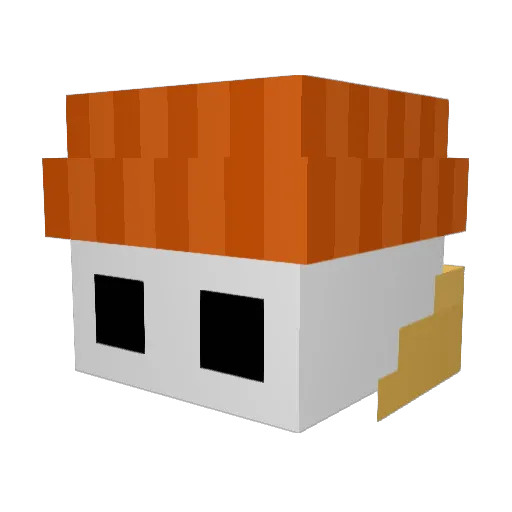 Astralz12 Minecraft avatar head, 3D render