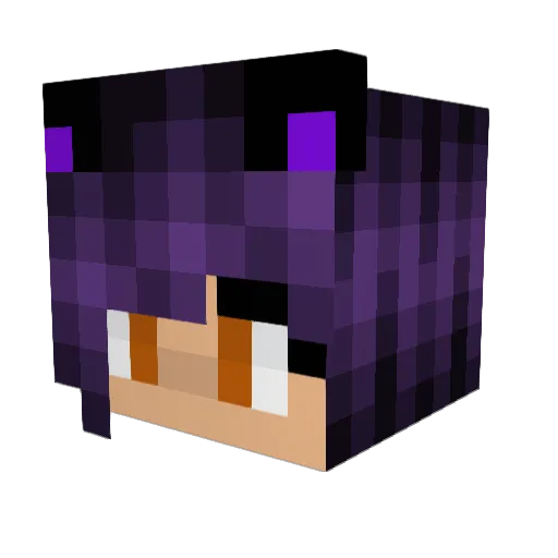 AstreosGalaxy Minecraft avatar head, 3D render