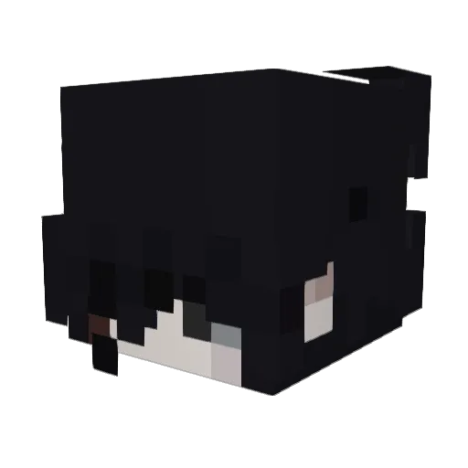 Astrever Minecraft avatar head, 3D render