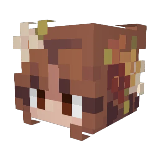 AstriaJH_36 Minecraft avatar head, 3D render