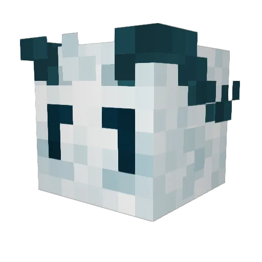 AstrianDM Minecraft avatar head, 3D render