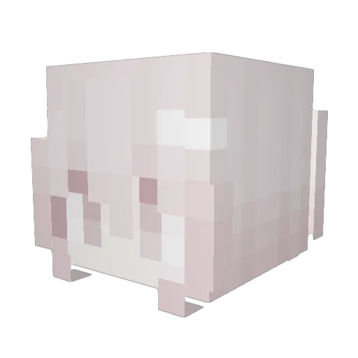Astriaval Minecraft avatar head, 3D render