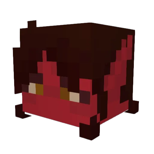 Astro2563 Minecraft avatar head, 3D render
