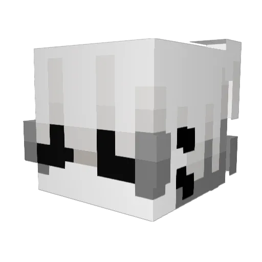 Astro4real Minecraft avatar head, 3D render