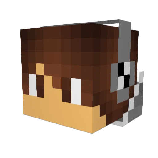 AstroBomb2004 Minecraft avatar head, 3D render