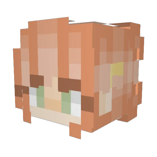 AstroCarolina Minecraft avatar head, 3D render