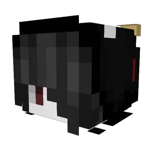 AstroChandler Minecraft avatar head, 3D render