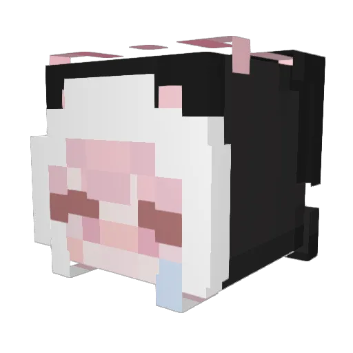 AstroDreamz Minecraft avatar head, 3D render