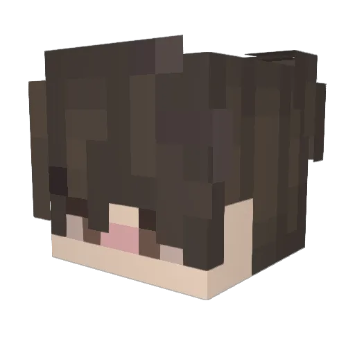 AstroGamer99 Minecraft avatar head, 3D render