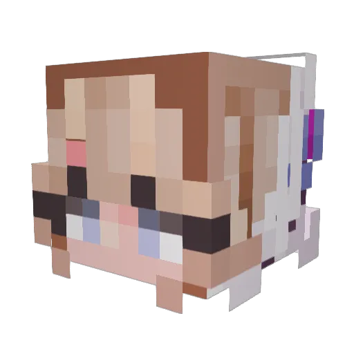 AstroGaming582 Minecraft avatar head, 3D render