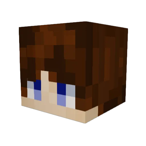 AstroGenix17 Minecraft avatar head, 3D render
