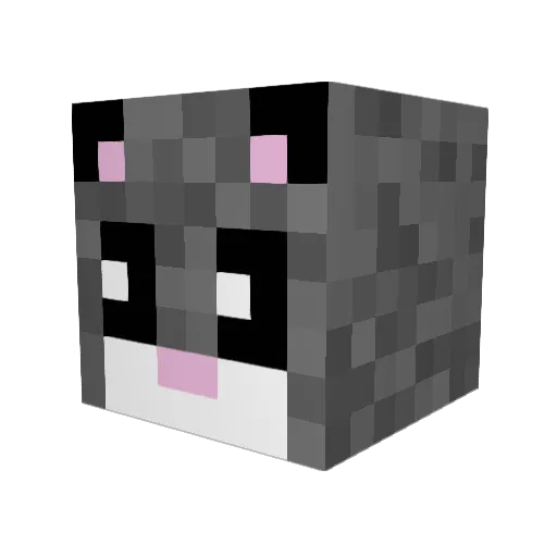 AstroKittens Minecraft avatar head, 3D render