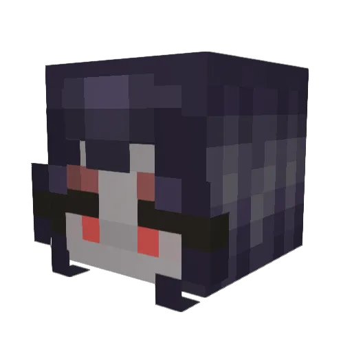 AstroNutt_ Minecraft avatar head, 3D render