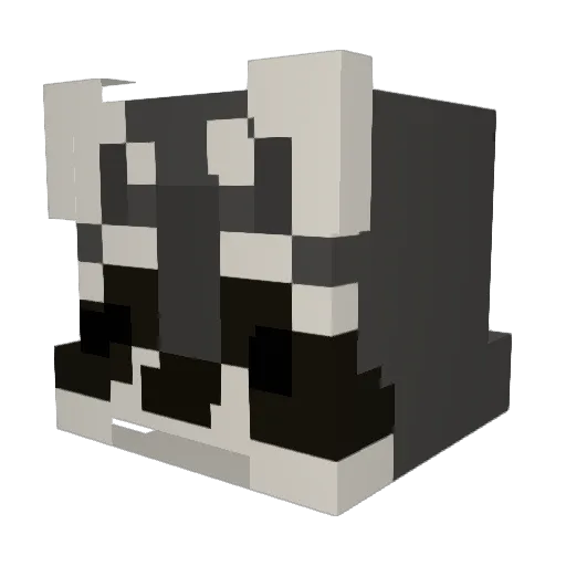 AstroRaccoon Minecraft avatar head, 3D render