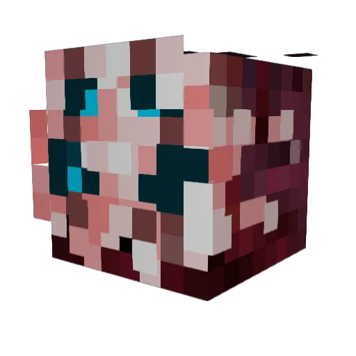 AstroSnek Minecraft avatar head, 3D render