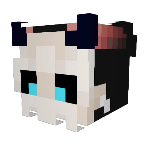 AstroSox Minecraft avatar head, 3D render