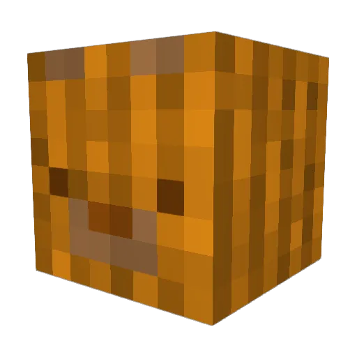 Astro_0518 Minecraft avatar head, 3D render