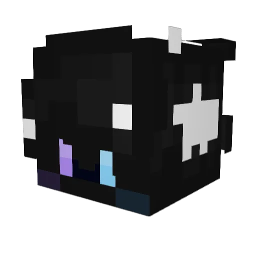 Astro_Anonymous Minecraft avatar head, 3D render