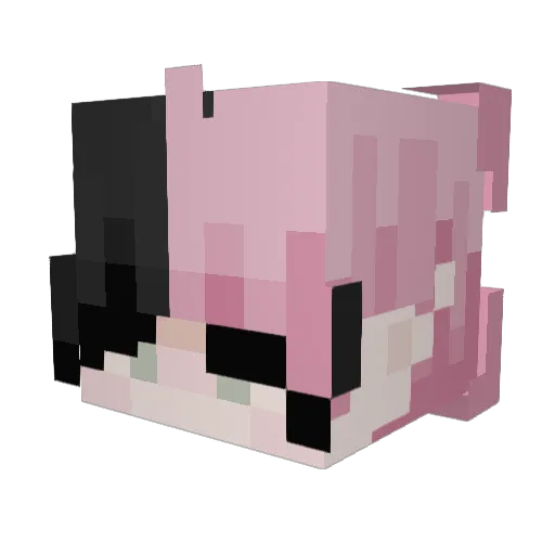 Astro_Cloud_ Minecraft avatar head, 3D render