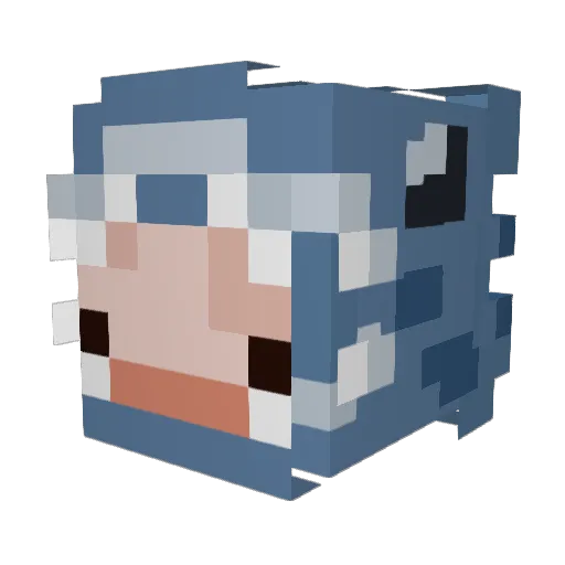 Astro_Fin Minecraft avatar head, 3D render
